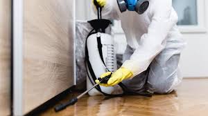 Professional Pest control in Fort Stewart, GA